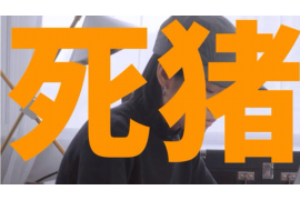 网商贷的催收短信：揭秘其特点与应对策略